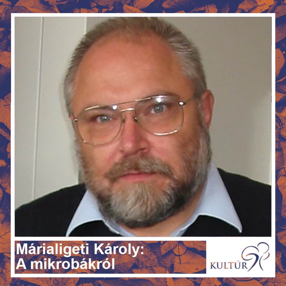 Márialigeti Károly